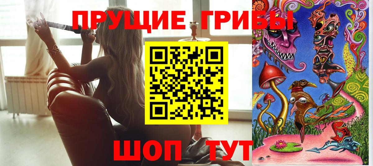 Галлюциногенные грибы Cubensis  Вход с VPN  Ирбит 